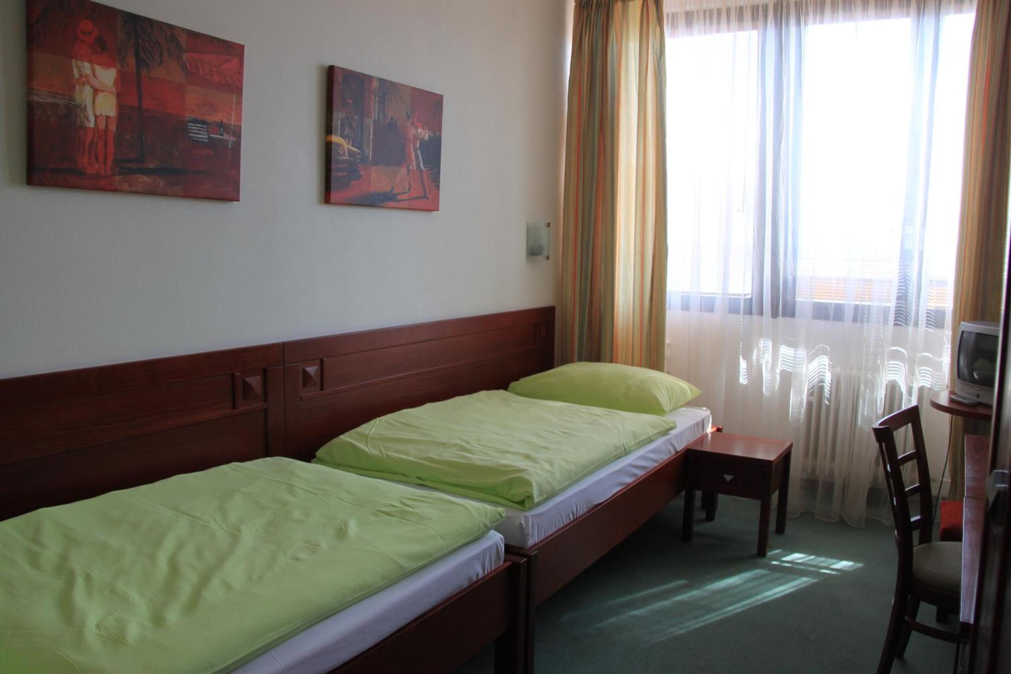 Hotel Bothe Поважска-Бистрица Экстерьер фото