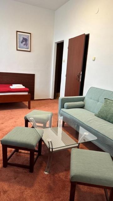Hotel Bothe Поважска-Бистрица Экстерьер фото