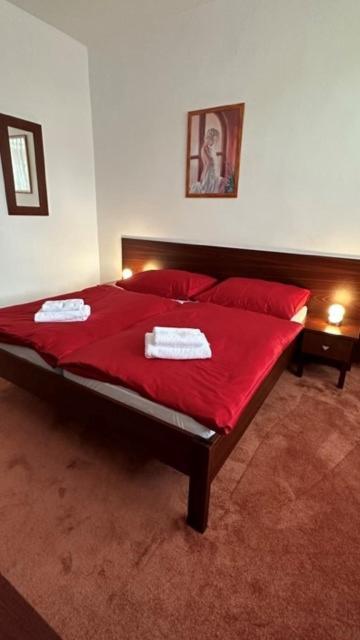 Hotel Bothe Поважска-Бистрица Экстерьер фото